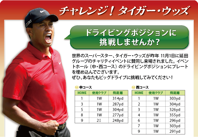 チャレンジ!タイガーウッズドライビングポジション